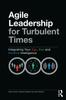 The Agile Leadership for Turbulent Times : Integrating Your Ego, Eco and Intuitive Intelligence Book
