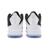 Jordan Courtside 23 Concord Jordan AR1000-104