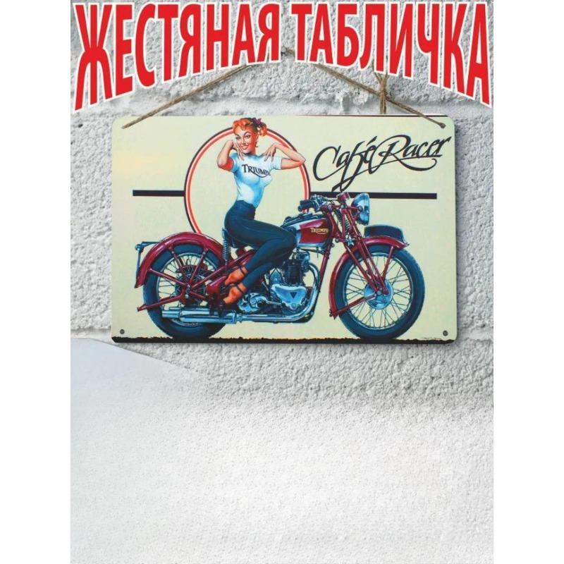 Motorcycle Metal Wall Art 20x30cm, Vintage Bike Decor Plaque