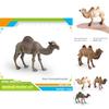 Animal Wildlife Pvc Model Single Hump Camel Decorative Toy For Kids Educational Gift