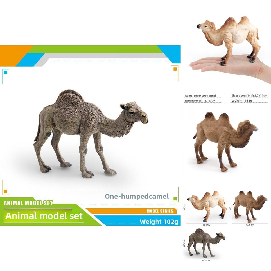 Animal Wildlife Pvc Model Single Hump Camel Decorative Toy For Kids Educational Gift