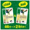 Takara Tomy Ania AS-25 ArcheopteryxArchaeopteryxAnimal Dinosaur Toy Ages 3+
