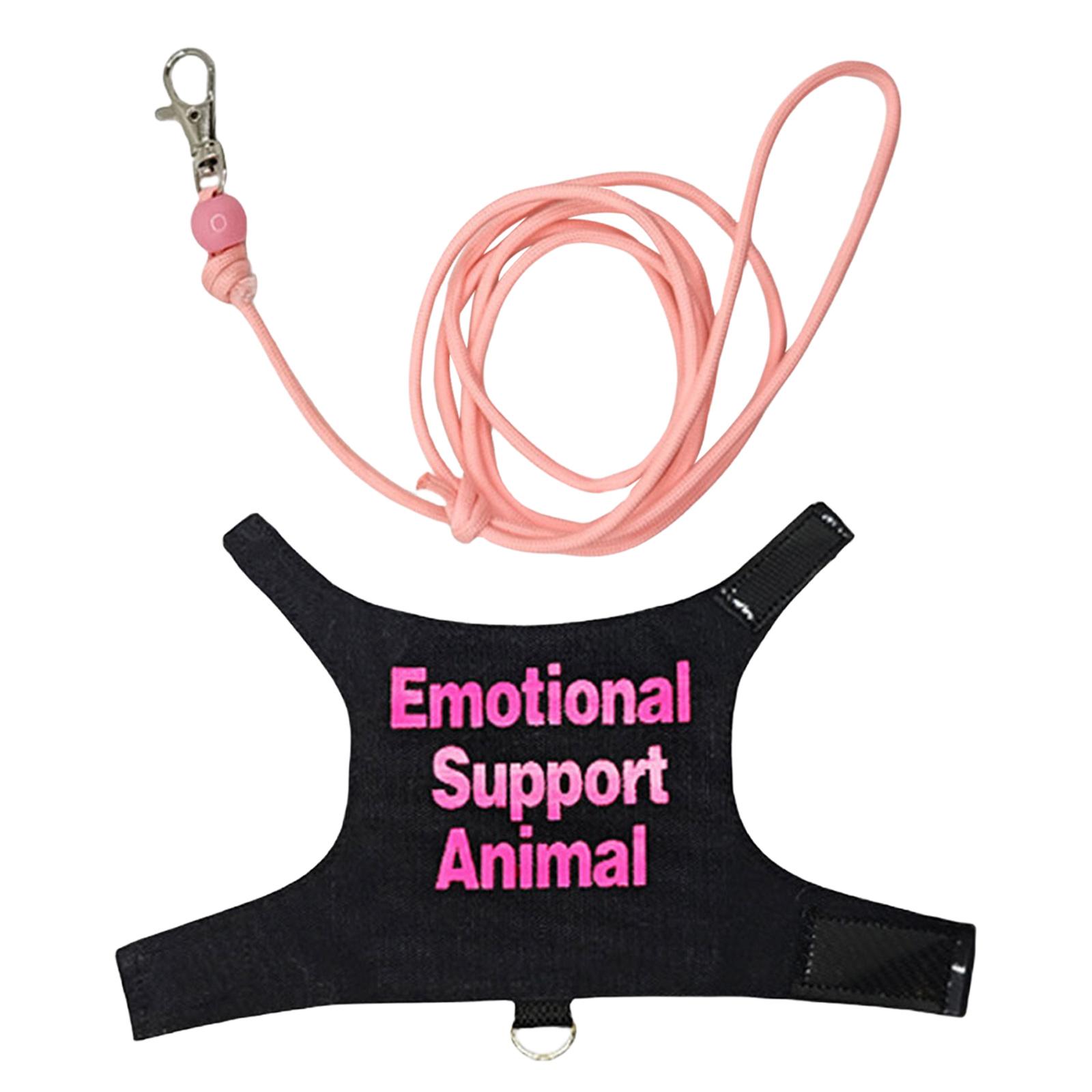 

Прекрасный костюм для рептилий, шлейки для тренировок ящериц, износостойкий веревочный пояс для прогулок на свежем воздухе розовый