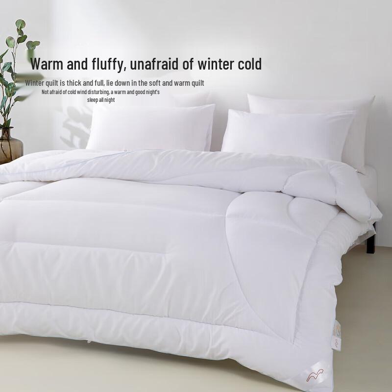 

Mercury Home Textiles Winter Thickened Fiber Comforter