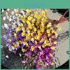 Decorațiuni pentru casă – Flori decorative şi coroane de flori