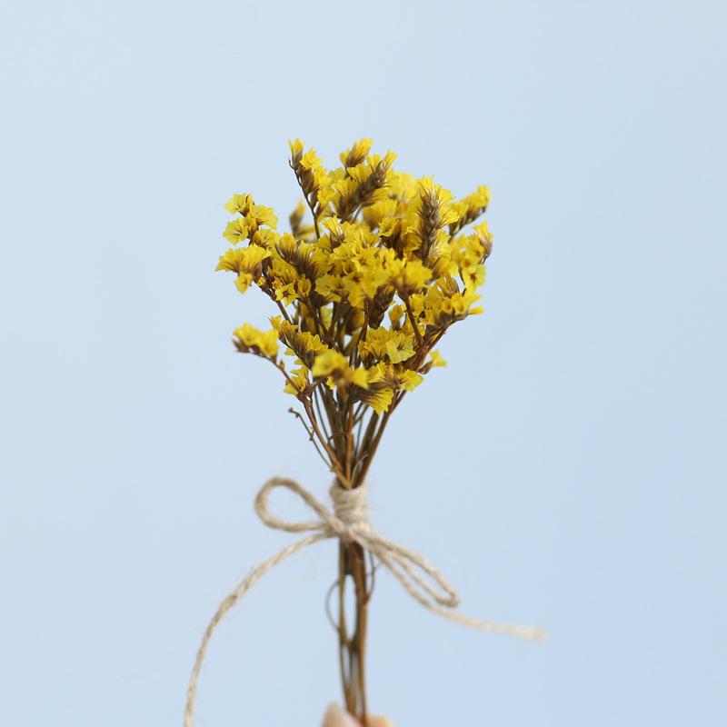 12cm Preserved Flower Boutonniere: Mini Bouquet for Bride, Bridesmaid, Wedding, Gift Box, Party Favor Decoration