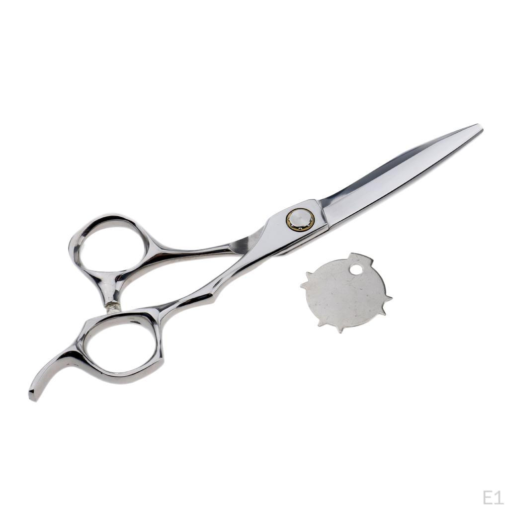 Special Scissors,Stainless Steel Salon Hairdressing Hair Cutting Scissors, Professional Barber Tool