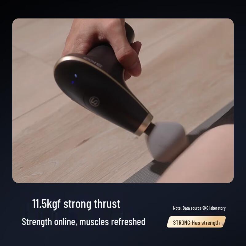 SKG F7SE Professional Percussion Massager