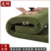 Longxian J Soft Green Sponge Mattress