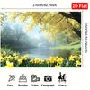 2D Peaceful Nature Scene Background for Meditation and Relaxation Spaces