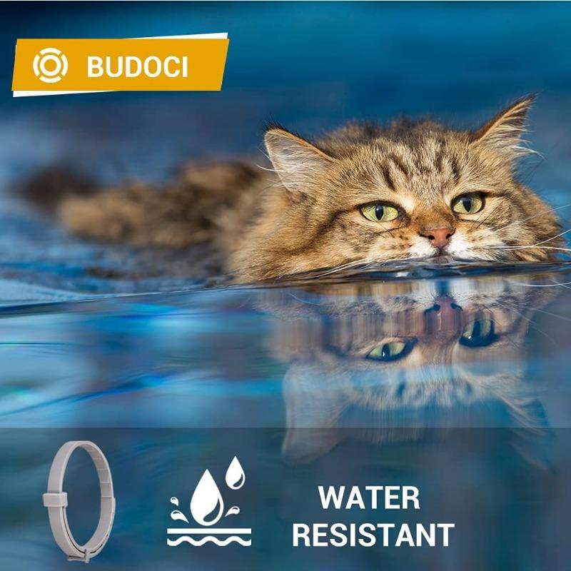 Pet Flea Collar for Cats and Dogs -1-Pack Flea and Tick Prevention Collar with 8-Month Protection, 38cm/62cm