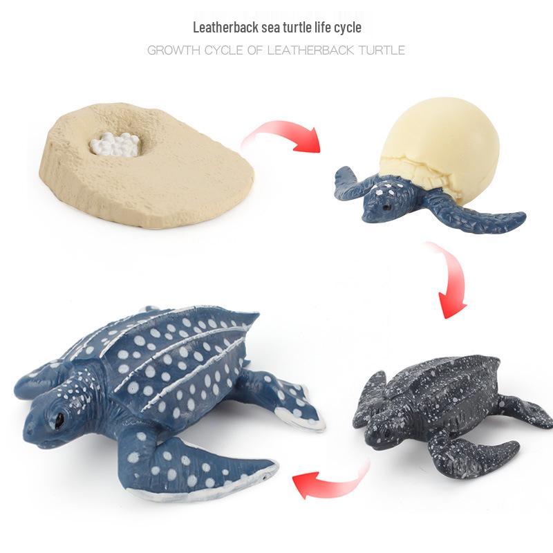 Animal Growth Cycle Models: Chicken, Duck, Goose, Butterfly, Turtle, Frog Montessori Teaching Figurines