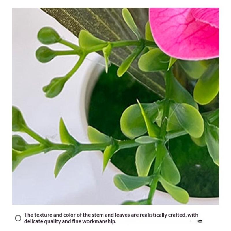 5 Plantas Simuladas de Phalaenopsis en Maceta para Decoración de Hogar y Oficina Plantas Pequeñas en Maceta Falso Bonsái Plantas Verdes