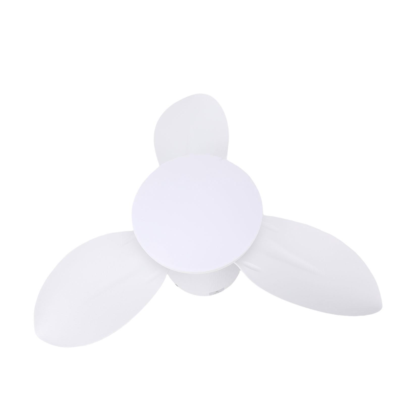 

Ceiling Fan Light Flush Mount 25in Small Dimmable LED 6 Speed Quiet Motor for Patio Kitchen Bedroom