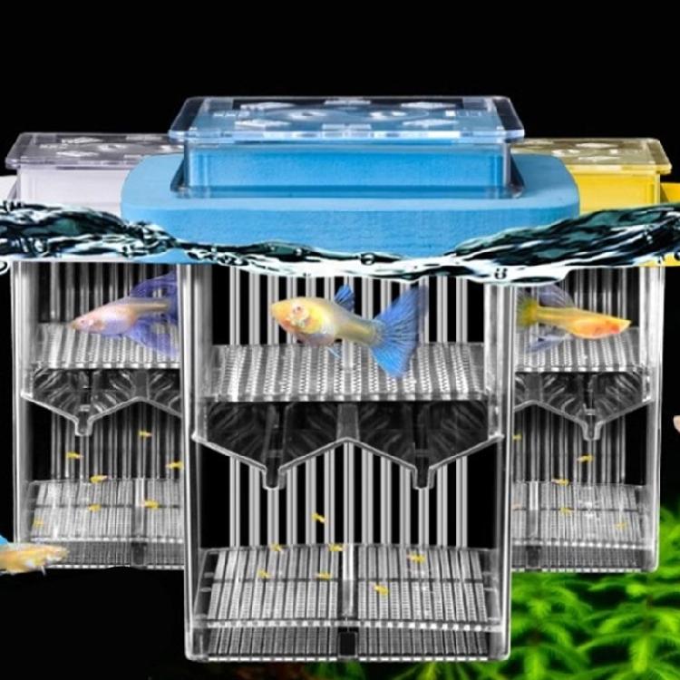 Acrylic Fish Breeding Box for Hatchery and Isolation for Aquariums Breeding Box Double Layer