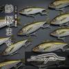 ZEIGOS (65mm/14g) #07 CHART HEAD AJI GLOW BELLY