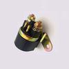 Compatible with Neptune HS125T Relay Solenoid Switch for Blue Giant Star, Red Giant Star, Golden Giant Star, and Lixing You E.