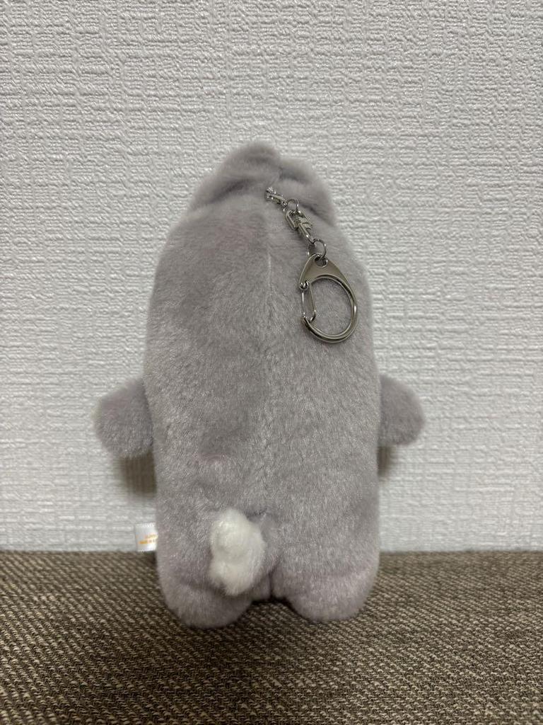 [USED] Wolfchan trading card case