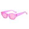 JYL TS Sunglasses Irregular UV Street Style/WF1218