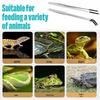 Popular Stainless Steel Tweezers with Silicone Tips for Reptile Feeding and Aquatic Plant Care