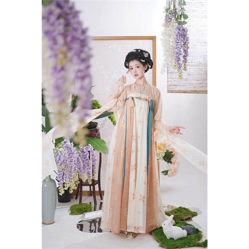 Women's Traditional Chinese Hanfu Set, Tang Dynasty Chest-high Ruqun Floral Printed Daily Wear Ancient Style Full Outfit