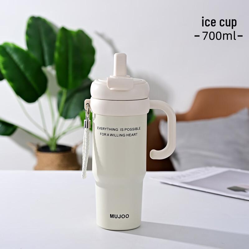 OLOEY 316 Stainless Steel Insulated Straw Tumbler