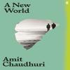 A New World by Amit Chaudhuri Paperback Book 9780571361557