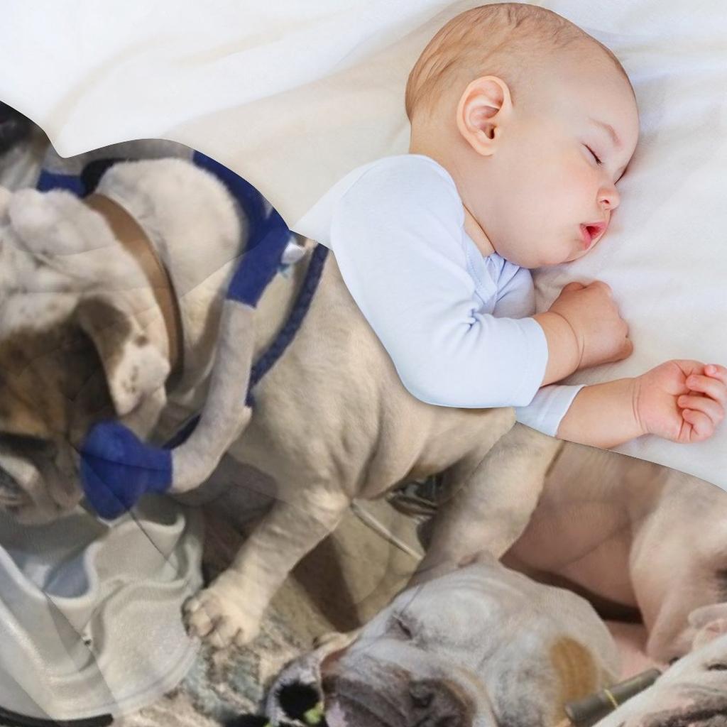 Mochi Buldog Angielski Kolaż Koc Flanelowy Uroczy Kratka Ciężka Tkanina Flanelowa Koce