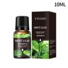 10ML Essential Oils for DIY Scented Candle Soap Essence Fragrance Oil Perfume Refill Aroma Diffuser Natural Plant Essential Oil