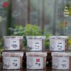 4-Hour Sandalwood & Mugwort Coil Incense (120 Pcs) with Burner - Indoor Long-Lasting Scent & Toilet Deodorizer