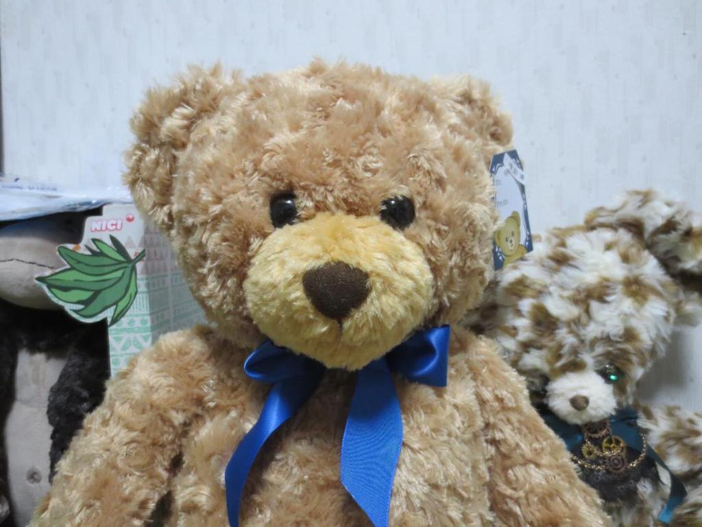 [USED] Honey teddy bear plush toy with tag, large size, 52cm! BIG!