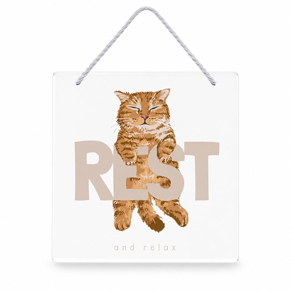 Square Clear Acrylic Wall Plaque Cat Art 20x20cm Smooth Edge Hanging Sign Home Decoration