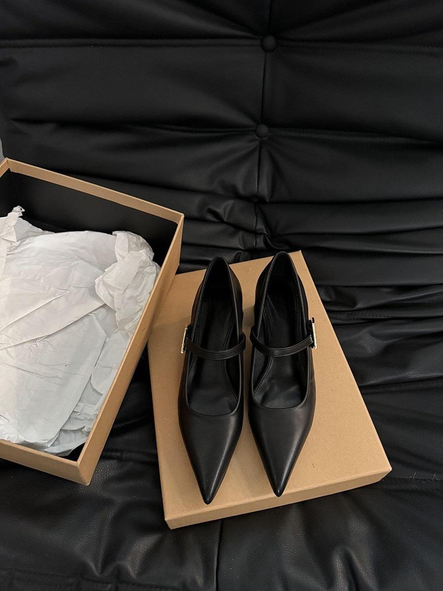 

French pointed silver Mary Jane small leather shoes women s shoes 2025 spring with skirt medium and high heel design single shoes 35