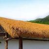 0.5x1m Fake Straw Lawn Mats Fire-Retardant Straw Roofing Eco-Friendly Gazebo Thatch Low-Maintenance Thatch Sheets