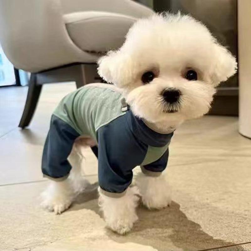 Dog clothes Teddy sunscreen cold four-legged cool shirt pet outdoor dust-proof and insect-proof than bear Schnauzer Marte
