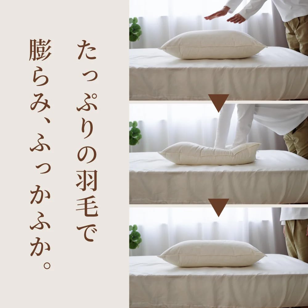 Romance Kosugi Feather Pillow, Made In Japan with High-Quality Silver Down. Filling: 90% Down, 10% Feather (Silver Down). Filling Weight: 0.45 Kg.