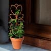 Tre Plantebrakett Bladform Espalier Klatreplante Støttestativ Enkel Installasjon Multifunksjonell Planteholder