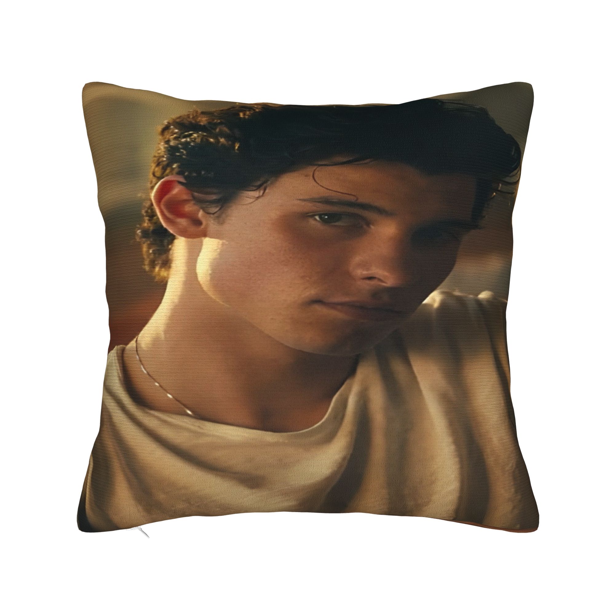 

Living Room Decoration Shawn Mendes Singer Pillowcase Merch Pillow Cover Square Multi Size 12x12in 30X30cm