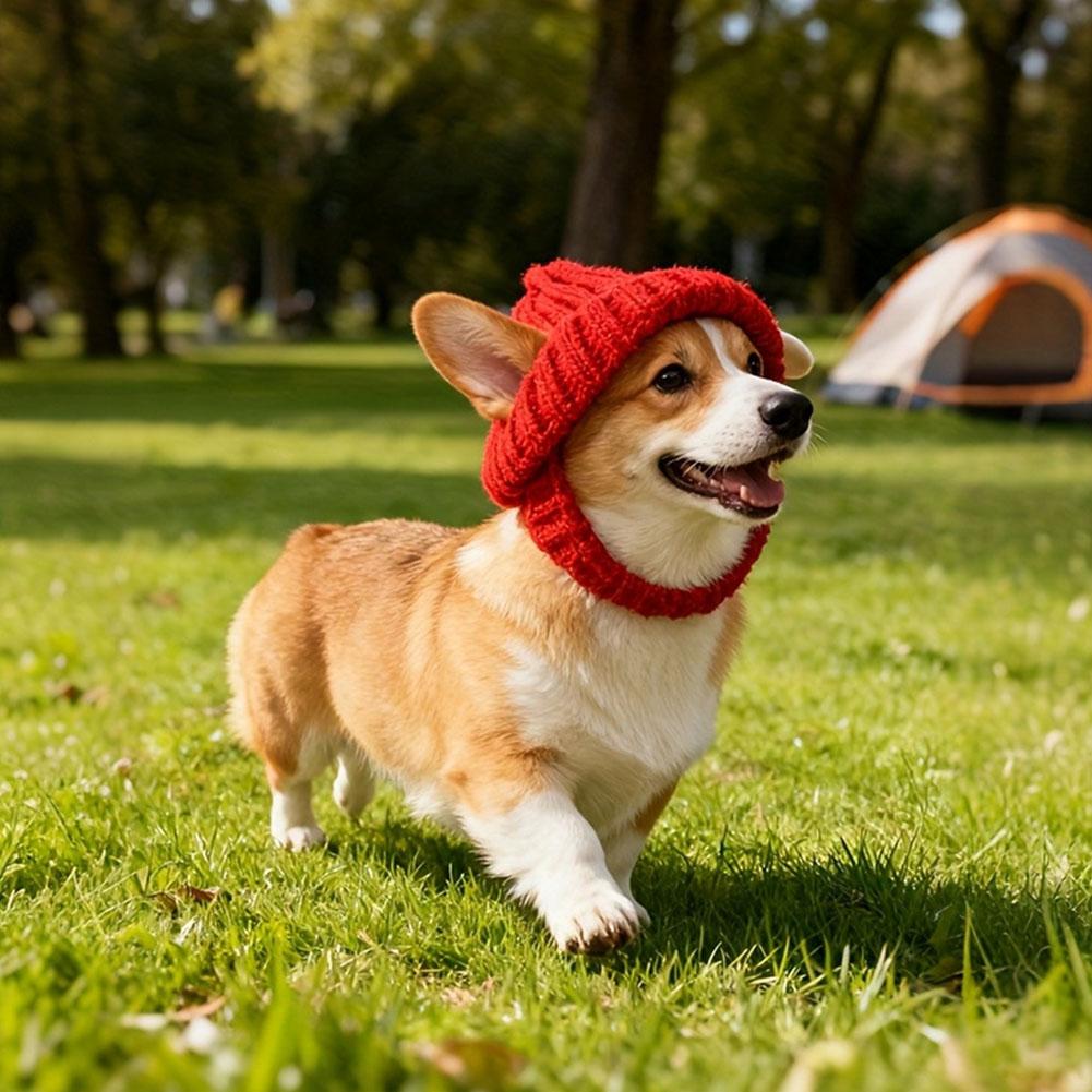 Maltese Dog Beanie Hat, Cozy Soft Knit with Ear Flaps Cute Playful Dog Fashionable Red Winter Dog Hat Dog Beanie Hat Headwear