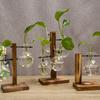 Simple and Creative Glass Vase with Wooden Stand for Hydroponic Cultivation (Type C)