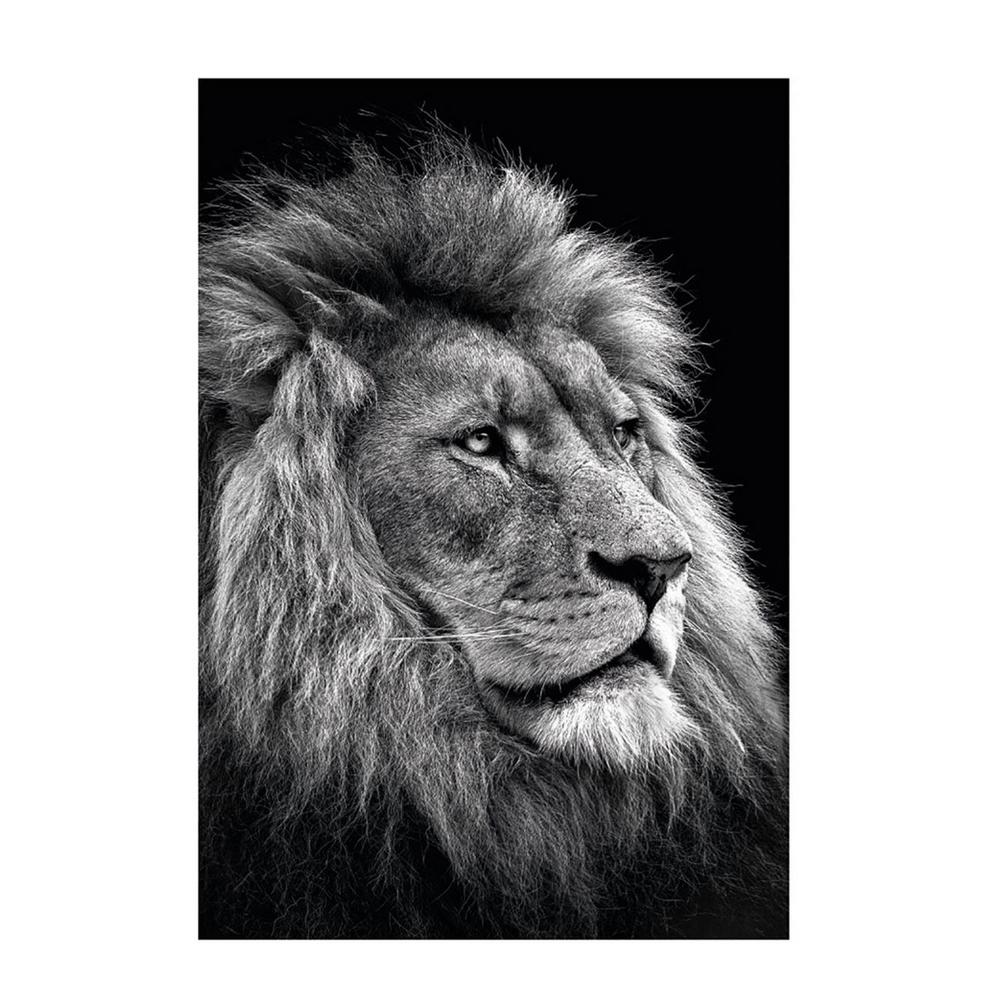Christian Meermann Lion´s Gaze Print