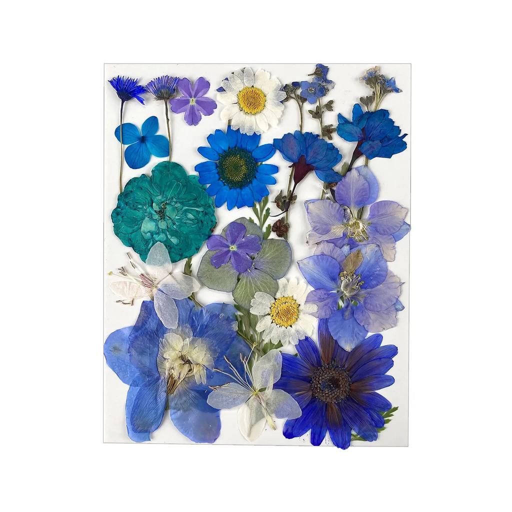 25PCS Dried Flowers Set for DIY Resin Pendant Making Filling Pressed Real Natural Flowers Leaves for Bookmark Phose Case Making