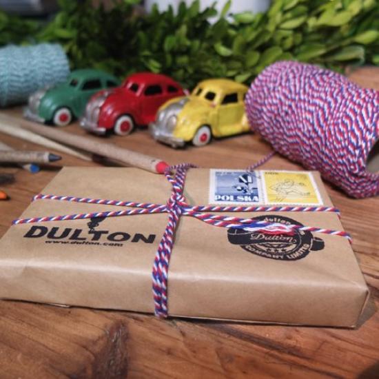 Dulton Twisted 105mm High X 55mm String, White/Blue/Red, Wide, GS555-266L