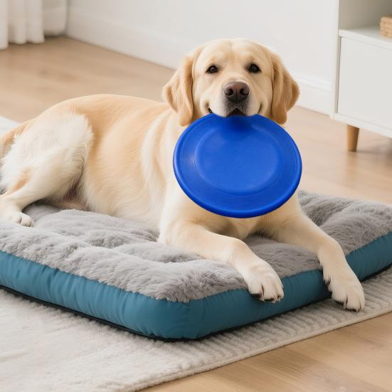 Dog Flying Disc Toy Interactive Dog Fetch Toy Toss-and-Catch Entertainment Toy for Medium Large Dogs Outdoor Training Play Exercise