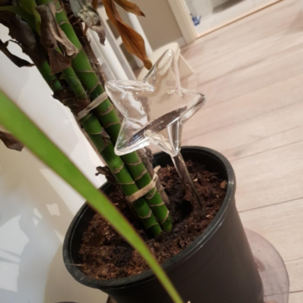 Transparent Bird Star Shape Plant Automatic Waterer Bulb Self Watering Dropper Houseplant Miniature Device for Travel
