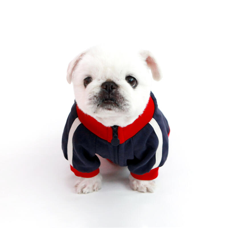 KINI TRAINING ZIPUP-NAVY L