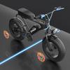 Electric Bike Beach Cruise E-bike 1200w Fat Tire Mountain E-bike elektrokolo