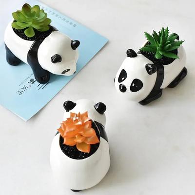 Maceta para Suculentas de Porcelana Blanca Animal Panda Hogar Maceta Cerámica Suministros de Jardín Decoración del Hogar Estilo Nórdico Simple