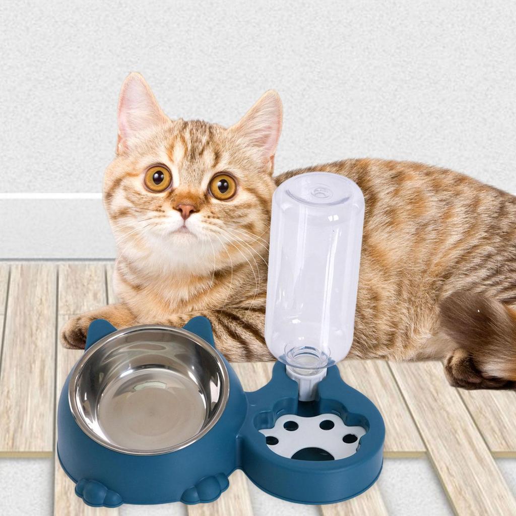 Tilted Cat Bowl with Automatic Water Bottle, Unique Dog Bowl with Automatic