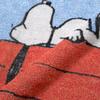 Nishikawa Snoopy Face 34 x Imabari XT26356610 PN6652TW Towel, 80cm, Washable, 100% Cotton, Five-Color Weave, Mark, Blue,